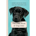 The Little Book of Dog Care: Expert Advice on Giving Your Dog Their Best Life
