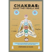 Chakras: What They Really Are: A Brief but Concrete Explanation with the Help of Science, Tantra Yoga and Modern Psychology Insights.