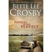 Passing through Perfect: Family Saga (A Wyattsville Novel Book 3)