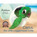 Cletus, the Little Loggerhead Turtle: The Beginning Adventure