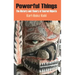 Powerful Things: The History and Theory of Sacred Objects