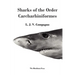 Sharks of the Order Carcharhiniformes