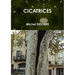 Cicatrices
