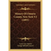 History Of Ontario County, New York V2 (1893)