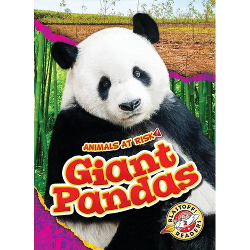 Giant Pandas