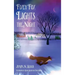 Fixey Fox Lights the Night