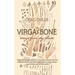 Virga & Bone: Essays from Dry Places