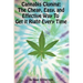 Cannabis Cloning: the Easy, Cheap, and Effective Way to Get It Right Every Time