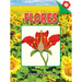Flores: Flowers