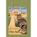 The Alamo Cat