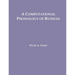 A Computational Phonology of Russian