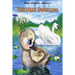 The Ugly Duckling
