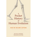 A Pocket History of Human Evolution: How We Became Sapiens