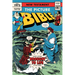 The Picture Bible New Testament