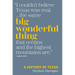 Big Wonderful Thing: A History of Texas