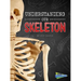 Understanding Our Skeleton