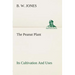 The Peanut Plant Its Cultivation And Uses