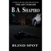 Blind Spot