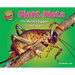 Giant Weta: The World's Biggest Grasshopper