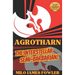 AGROTHARN the Interstellar Semi-Barbarian!