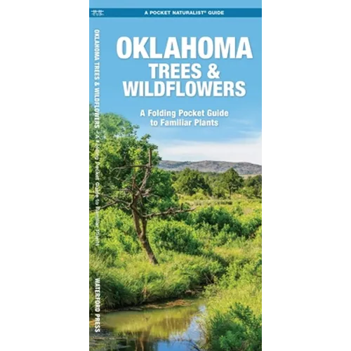 Oklahoma Trees & Wildflowers: An Introduction to Familiar Species