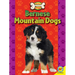 Bernese Mountain Dogs