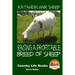 Katahdin Hair Sheep - Raising a Profitable Breed of Sheep