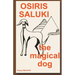 Osiris Saluki, the magical dog