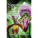 Spectacular Orchids: The Basics Of Growing Your Own Orchids