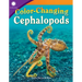 Color-Changing Cephalopods