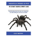 Tarantula Spiders As Pets: Tarantula breeding, where to buy, types, care, temperament, cost, health, handling, diet, and much more included! The Ultim