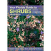 Your Florida Guide to Shrubs: Selection, Establishment, and Maintenance