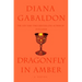 Dragonfly in Amber