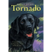 Tornado
