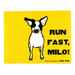 Run Fast Milo!