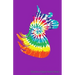 Rainbow Hippie Sheet Music