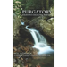 Purgatory: Heaven's Healing Waters