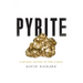Pyrite: A Natural History of Fool's Gold