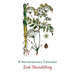 A Revolutionary Calendar