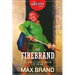 The Firebrand: The Complete Adventures of Tizzo, Volume 1