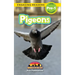 Pigeons: Animals in the City (Engaging Readers, Level Pre-1)