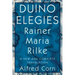 Duino Elegies: A New and Complete Translation