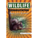 Wildlife Rehabilitation