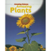 Amazing Plants