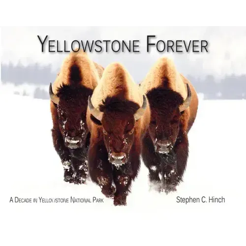 Yellowstone Forever: A Decade in Yellowstone National Park