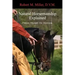Natural Horsemanship Explained