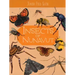 Junior Field Guide: Insects of Nunavut: English Edition