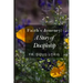 Faith's Journey