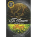 To Heaven and Back With Angels: A true Story of death, heavens and Life - A message from the Angels to Humanity