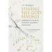 Seeking the God Beyond: A Beginner's Guide to Christian Apophatic Spirituality